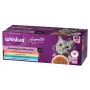 Whiskas Aromatic Selection Mix märkäruoka kissoille, 40 x 85 g annospussit