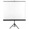 Avtek Tripod Standart 175 -projektiokangas 1:1