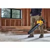 DEWALT. lehtipuhallin 18V XR DCMBL562N