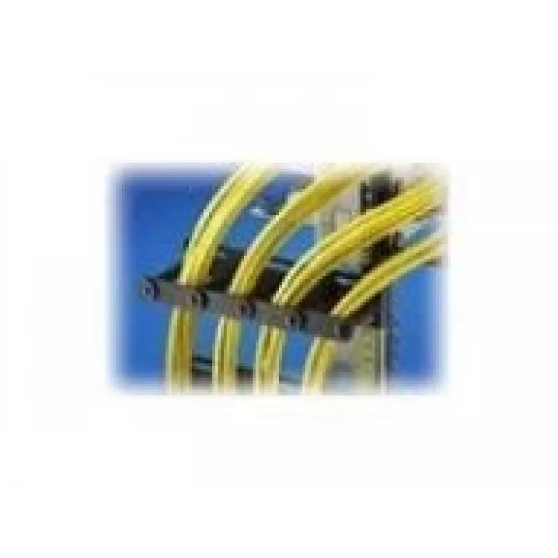Rittal DK kaapelinhallintakisko - rack - kaapelinhallintasarja - 4U - 48,3 cm (19