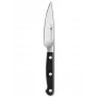 Zwilling Pro hedelmäveitsi - 10 cm