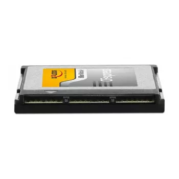 Muistikortti DeLOCK 54066 256 GB CFexpress
