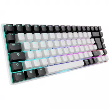 Sharkoon SKILLER SGK50 S3 - näppäimistö - 75% - taustavalo - USB - QWERTZ - saksa - näppäinkytkimet: Gateron Red (Hot-swappable)