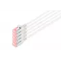 Digitus DK-1624-100S-5 CAT 6 U/FTP Slim -kytkentäkaapeli, 10 m, harmaa, 5 kpl:n pakkaus