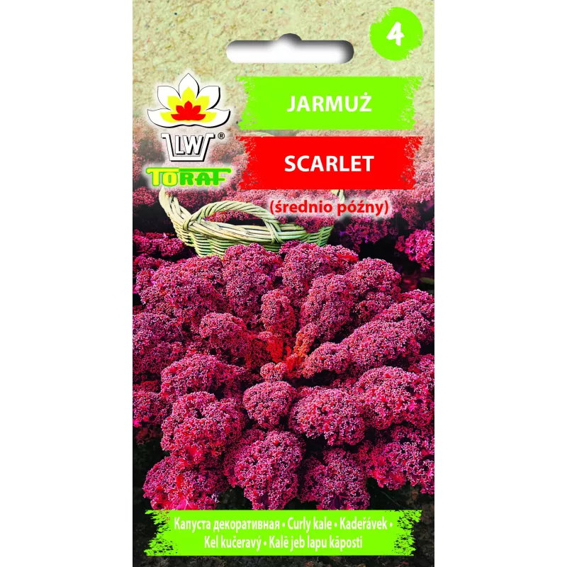 Scarlet Toraf lehtikaalin siemenet, 1 g pakkaus