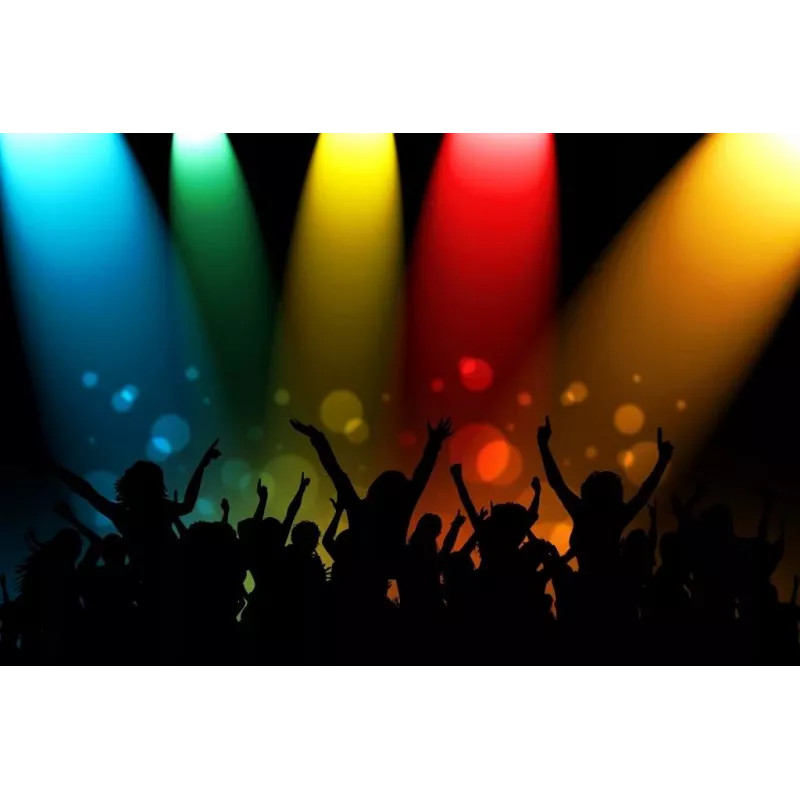 Kannettava kaiutin APA24 Bluetooth Karaoke, musta