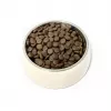 PUPIL Premium hyönteiset - kuivamuona koirille - 12 kg