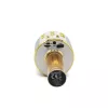 MANTA MIC10-G Gold langaton Bluetooth-karaokemikrofoni kaiuttimella