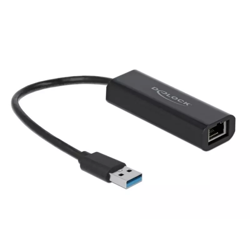 DeLOCK 66299 USB-A 2,5 Gigabit LAN -sovitin