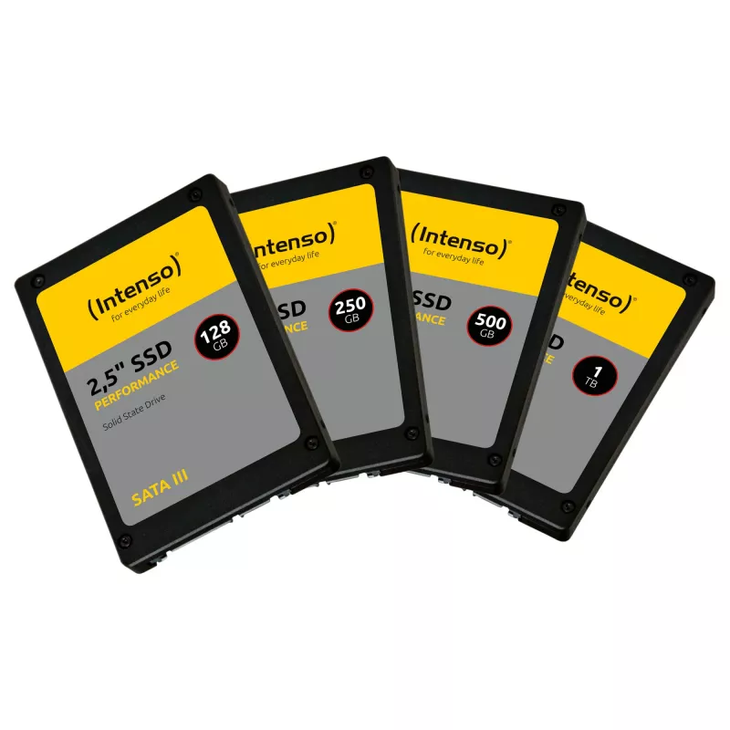 Intenso performance - SSD - 1 TB - sisäinen - 2,5