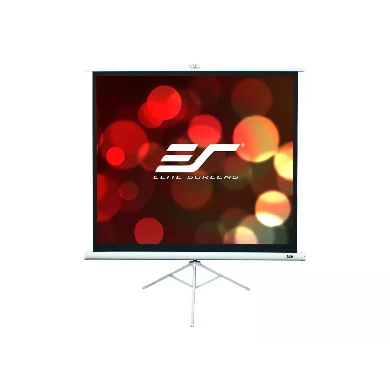 Jalustallinen projektiokangas Elite Screens T113NWS1 2,87 m 1:1