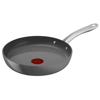 Tefal Renewal C4260443 paistinpannu, 24 cm, harmaa, induktioon soveltuva