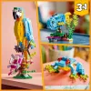 LEGO rakennussarja Exotischer Papagei 31136 — Creator-näyttömalli, 253 osaa, 220×120×110 mm