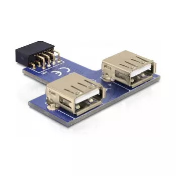 DeLOCK 9-napainen 2,54 mm 2 x USB 2.0 1 x 9-napainen 2,54 mm musta sininen hopea