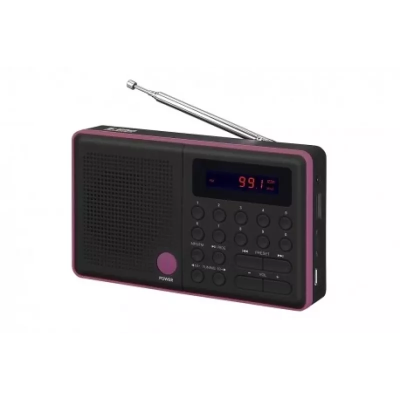 Radio Pliszka USB, FM musta