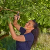 GARDENA PremiumCut 12241-20 -oksasakset bypass, harmaa/turkoosi