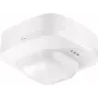Steinel IR Quattro HD DALIplus AP 035273 läsnäolotunnistin
