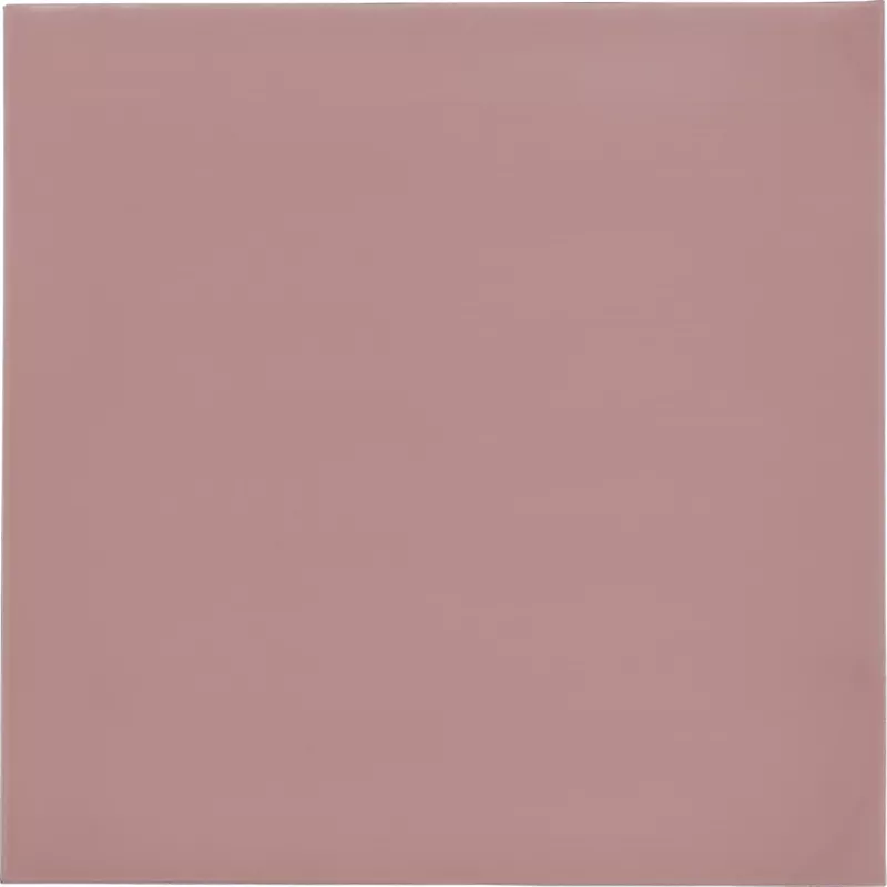 Thermal Grizzly Minus Pad 8 - 100 x 100 x 1,0 mm, 2 kpl