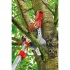 Oksaleikkuri WOLF-Garten RC-VM ANVIL PROFI