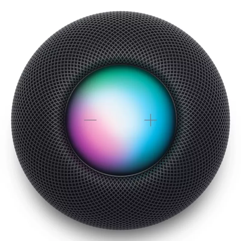 Kannettava kaiutin Apple HomePod mini, harmaa