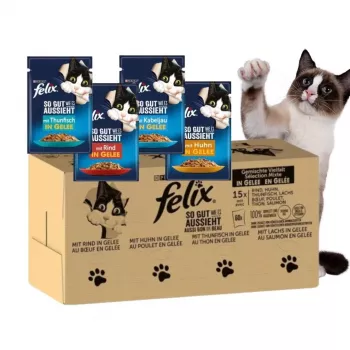 Märkäruoka kissoille Purina Felix runsaasti proteiinia 100 g pussi — maku kala ja kana, aikuiset kissat, 120 kpl pakkaus