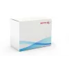 Xerox Transfer Roller, WorkCentre 7525/7530/7535/7545/7556, 1 kpl