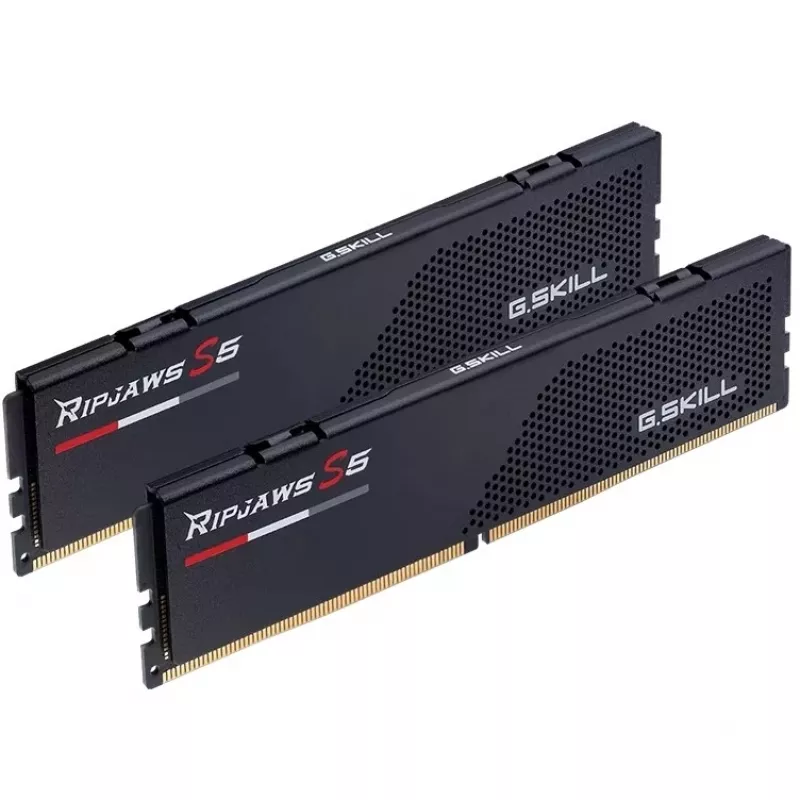 G.skill F5-6800J3446F24GX2-RS5K muistimoduuli