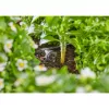 Gardena 13312-20 tuote 2 L musta