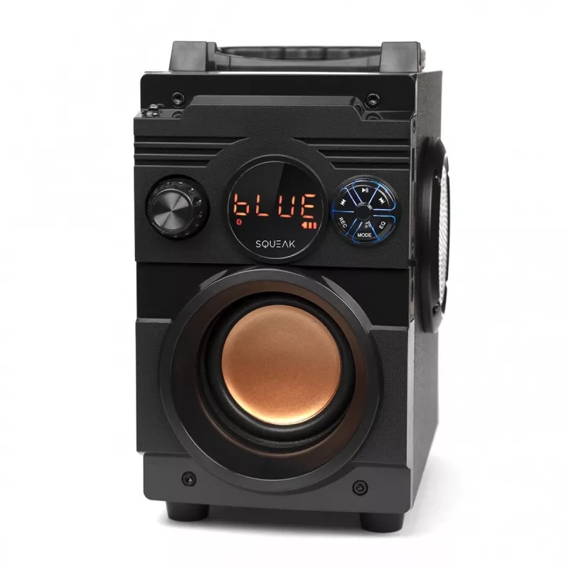 Squeak Bassblaster Bluetooth 5.1 -kaiutin, FM-radio, MP3-soitin SQ1001