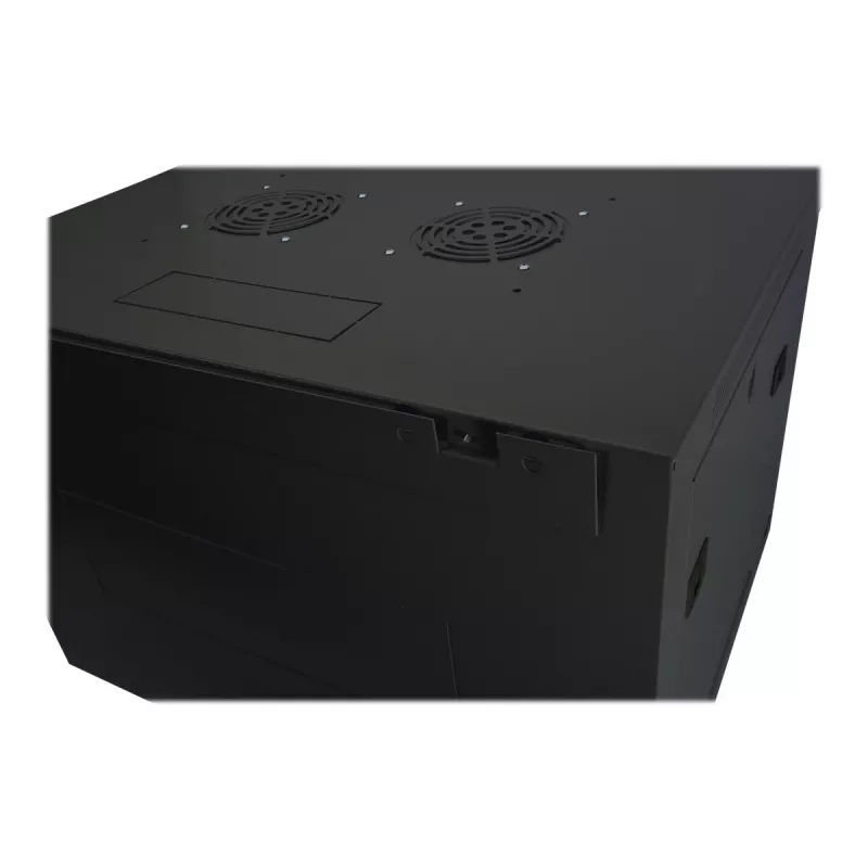 DIGITUS Dynamic Basic DN-19 16-U-EC-SW - kaappi - verkkokaappi - seinäasennukseen - RAL 9005 - 16U - 48,3 cm (19