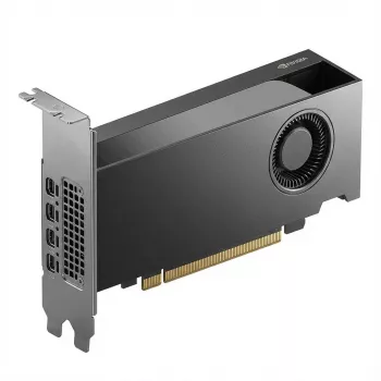 NVIDIA RTX PRO 2000 Blackwell Bulk - PCI - 16 384 MB (900-5G195-2250-000)