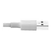 Eaton Tripp Lite Series USB-A - Lightning synkronointi-/latauskaapeli (M/M) - MFi-sertifioitu, valkoinen, 3 ft. (0,9 m) - data-/virtakaapeli - USB uros - Lightning