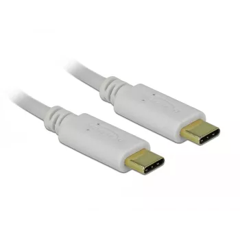 Delock - USB-C-/virtakaapeli - 24-nastainen USB-C-urosliitin - 24-nastainen USB-C-urosliitin - 5 A - 15 cm - USB-virtalähde (100 W), tukee Power Delivery 2.0 - valkoinen (85357)