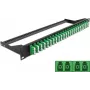 Kytkentäpaneeli DeLOCK 43399 1U
