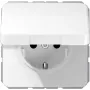 JUNG CD 1520 BF KI KL WW SCHUKO-pistorasia kansilla, 16 A 250 V, alppivalkoinen