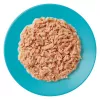 APPLAWS Fish Selection monipakkaus liemessä - märkäruoka kissoille - 12x70g