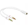 Audiokaapeli DeLOCK 65585 0,2 m 2 x 3,5 mm uros - 3,5 mm naaras valkoinen