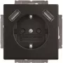 BJ 20 EUCB2USB-885 SCHUKO-/2x USB-pistorasia (2CKA002011A6279)