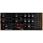 Analogi puolimodulaarinen syntetisaattori moog Labyrinth – monofoninen, 20-In/12-Out-patchbay, sekvensseri, luonnonpuu