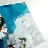 Kodak Ultra Premium valokuvapaperi 280 g kiiltävä 10 x 15 cm 60 arkkia