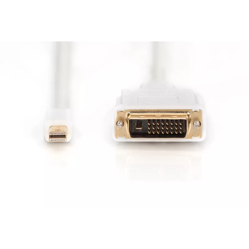 Kaapeli DisplayPort 1.1a Mini DP-DVI tyyppi A MM 2,0 m
