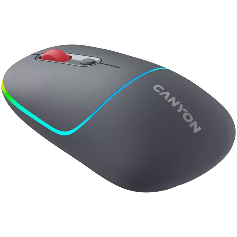 Canyon MW-22 2in1 RGB langaton hiiri - harmaa - Bluetooth/RF - 1 600 dpi - ladattava