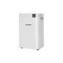 Ilmankuivain BLAUPUNKT ADH801 — 20 l/vrk (enint. 36 l/24 h), 4,2 l säiliö, 600 W, R290, LED-näyttö