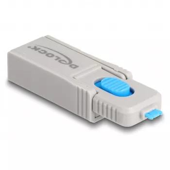 DeLOCK 20969 porttilukko DisplayPort HDMI USB Type-A USB Type-C harmaa