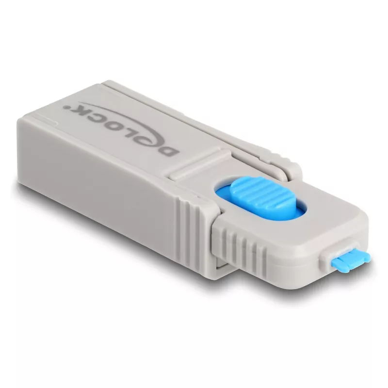 DeLOCK 20969 porttilukko DisplayPort HDMI USB Type-A USB Type-C harmaa