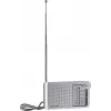 Panasonic RF-P150DEG kannettava analogiaradio hopea