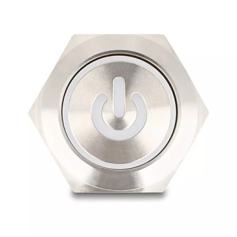 Painonappipaneeli DeLOCK 22051 hopea 230V 3A