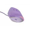 NATEC Crake 2 Pro hiiri yleinen oikeakätisille USB Type-A optinen 12800 DPI