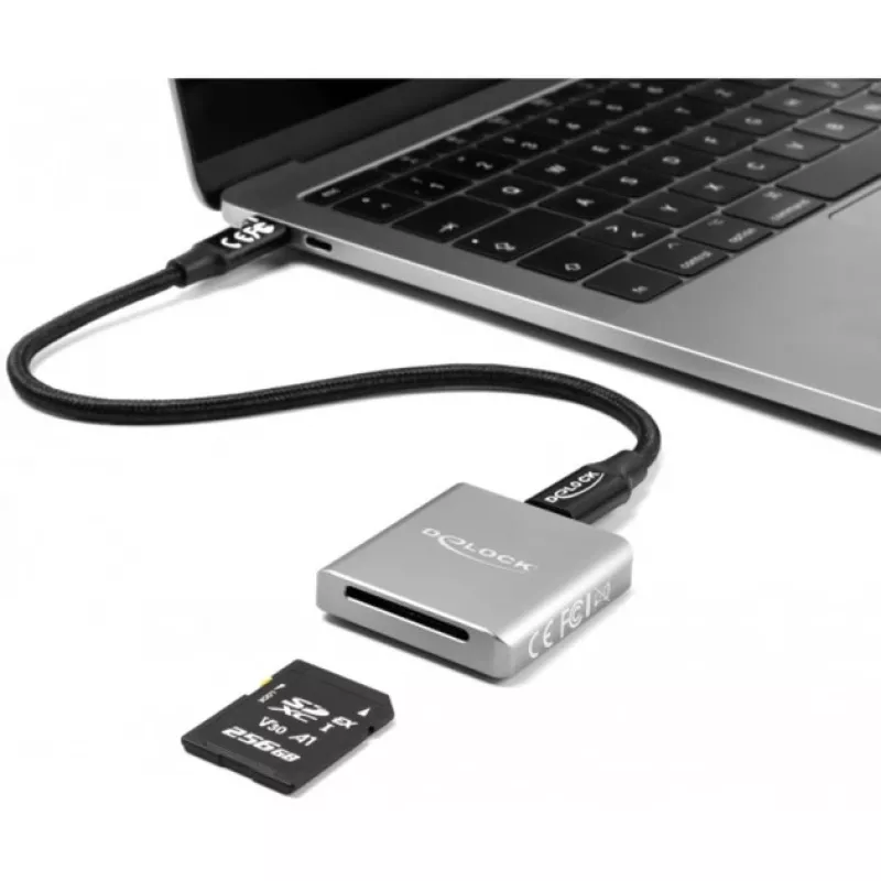 DeLOCK 91006 kortinlukija harmaa SD USB Type-C 10000 Mbit/s