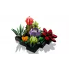 Lego Icons 10309 mehikasvit